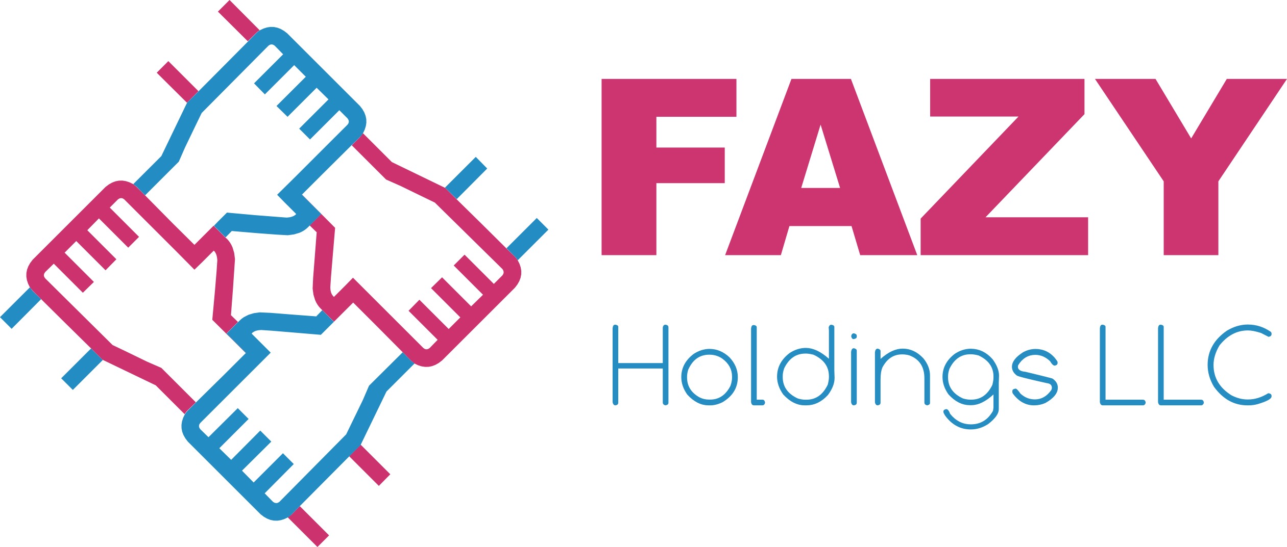 FAZY Holdings LLC logo